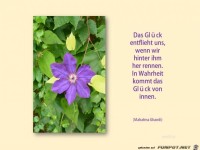 Das Glueck
