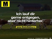 Ich laufe dir gerne entgegen