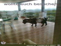 wollte euch besuchen