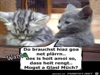 Du brauchst jetzt gar nicht weinen es ist halt so dass es 