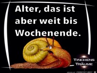 Zu lang bis zum naechsten