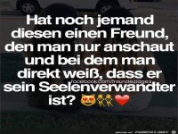Hat noch jemand