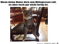 Mittagessen ist noch nicht fertig