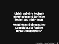 Begleitung fr eine Hochzeit