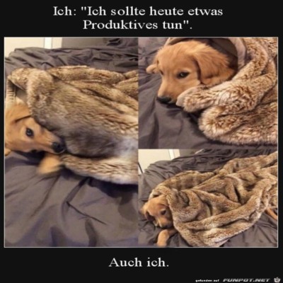 Was-Produktives.jpg von Harald48