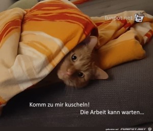 komm-zu-mir-kuscheln---die-Arbeit-kann-warten.jpg auf www.funpot.net