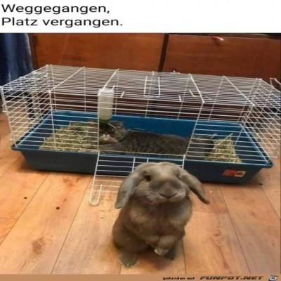 Stall-ist-belegt.jpg von Runa