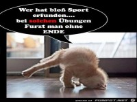 Bl�der Sport