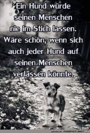 Ein-Hund.jpg auf www.funpot.net