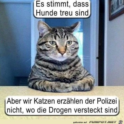 Es-stimmt.jpg von Keule56