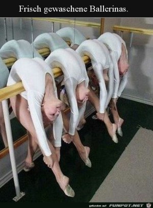 Ballerinas-auf-der-Leine.jpg auf www.funpot.net