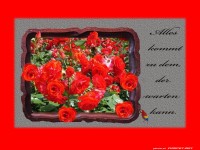 Alles kommt zu dem 2