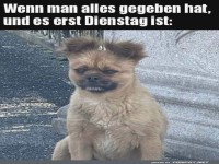 Es ist erst Dienstag