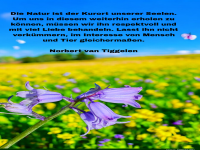 die natur ist der kurort