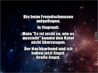 Katzenliebe: Auf frischer Tat ertappt!