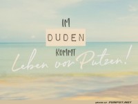 Wenn der Duden die Haushaltsregeln schreibt