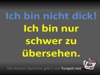 Ich bin nicht dick! Humor trifft Selbstironie.