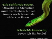 Die ehrliche Schlange beit nicht sofort!