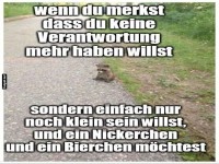 Wenn das Leben zu gro� ist - sei klein!