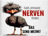 Nerven verloren: Bitte zur�ckbringen!