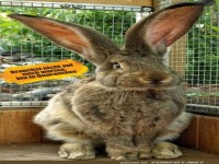 Ich bin in Quarant�ne