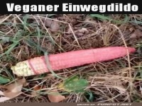Einweg-Dildo