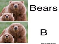 B�rensprache vereinfacht: B ist B�renstark!