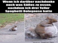 Was S��es geht immer