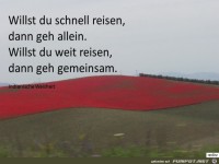 willst du schnell reisen