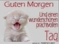 Guten Morgen