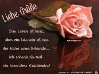das Leben ist kurz.....