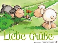 liebe gruesse 86