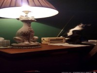 Was zur H�lle ist das