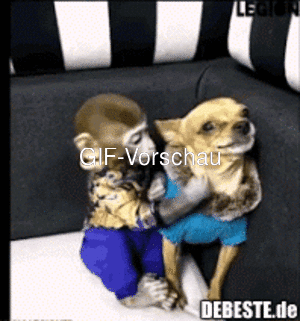 Get Starker wind lustige bilder gif For Android
