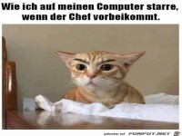 Wenn der Chef am PC vorbeil�uft