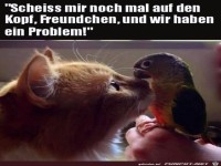 Gespräch unter Tieren