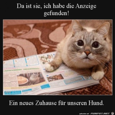 Neues-Zuhause-f&uuml;r-den-Hund-gefunden.jpg von DunklesBrot