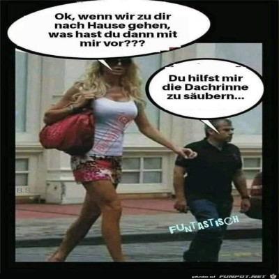 Dachrinne.jpg von SueHoe