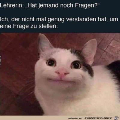 Hat-jemand-Fragen?.jpg von Ida