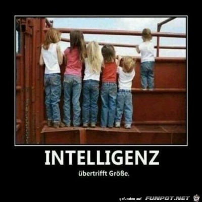 INTELLIGENZ.jpg von Sia