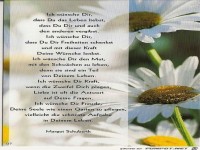 Ich w�nsche dir als du das Leben entschieden hast