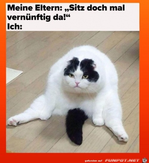 Sitz-doch-mal-ordentlich-hin.jpg auf www.funpot.net
