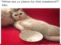 Wie sehen deine Pl�ne f�rs Wochenende aus?