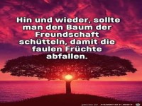 Den Baum der Freundschaft schtteln