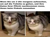 Sieht m�de aus