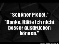 Sch�ner Pickel