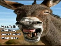 Verr�ckt bleiben