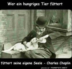 Wer-ein-hungriges-Tier-f�ttert.jpg auf www.funpot.net