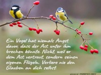 Vertrauen und Selbstglauben