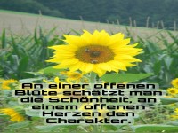 Blumige Weisheiten mit Humor